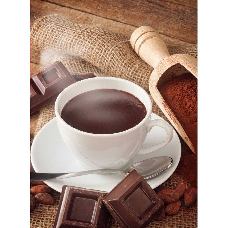 Cacao à l'ancienne hyperprotéiné (7 sachets)