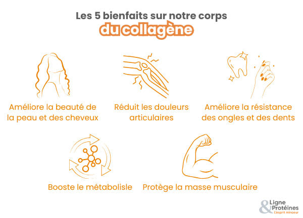 bien faits du collagene sur notre corps