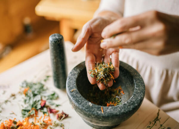 usage des plantes médicinales