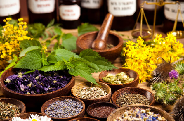 phytothérapie pour maigrir