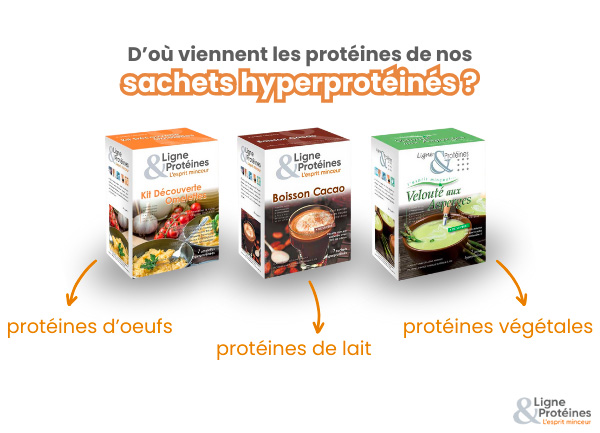 provenance des protéines des sachets hyperprotéinés